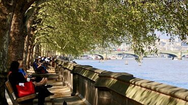 Victoria Tower Gardens South